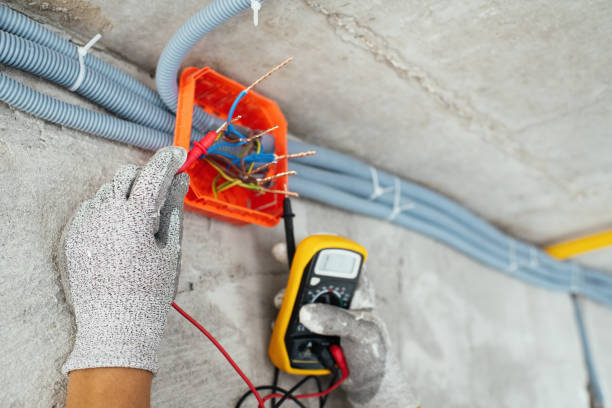 Best Affordable Electrician  in Clifton Gardens, NY